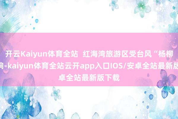 开云Kaiyun体育全站  红海湾旅游区受台风“杨柳”影响-kaiyun体育全站云开app入口IOS/安卓全站最新版下载