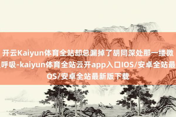 开云Kaiyun体育全站却总漏掉了胡同深处那一缕微弱的历史呼吸-kaiyun体育全站云开app入口IOS/安卓全站最新版下载